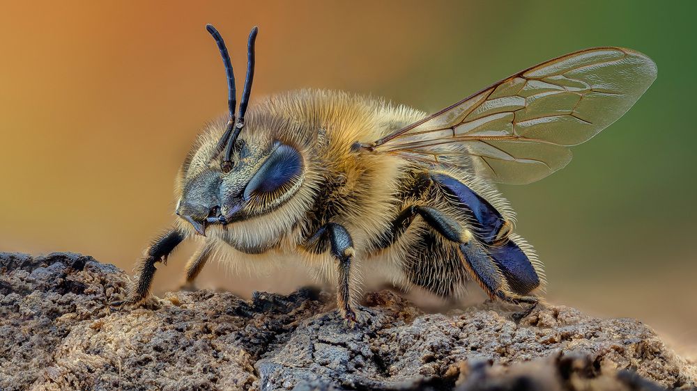 Photograph by Eugenijus Kavaliauskas