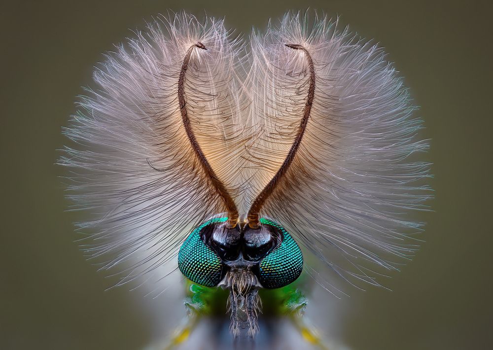 Photograph by Eugenijus Kavaliauskas