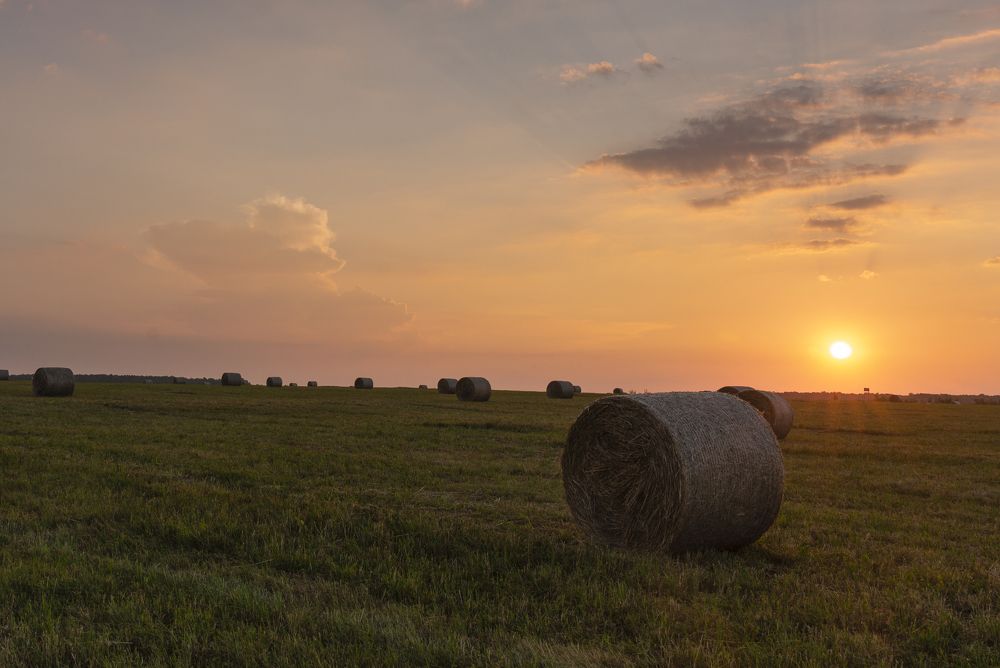 Photograph by Александр Корнейчев