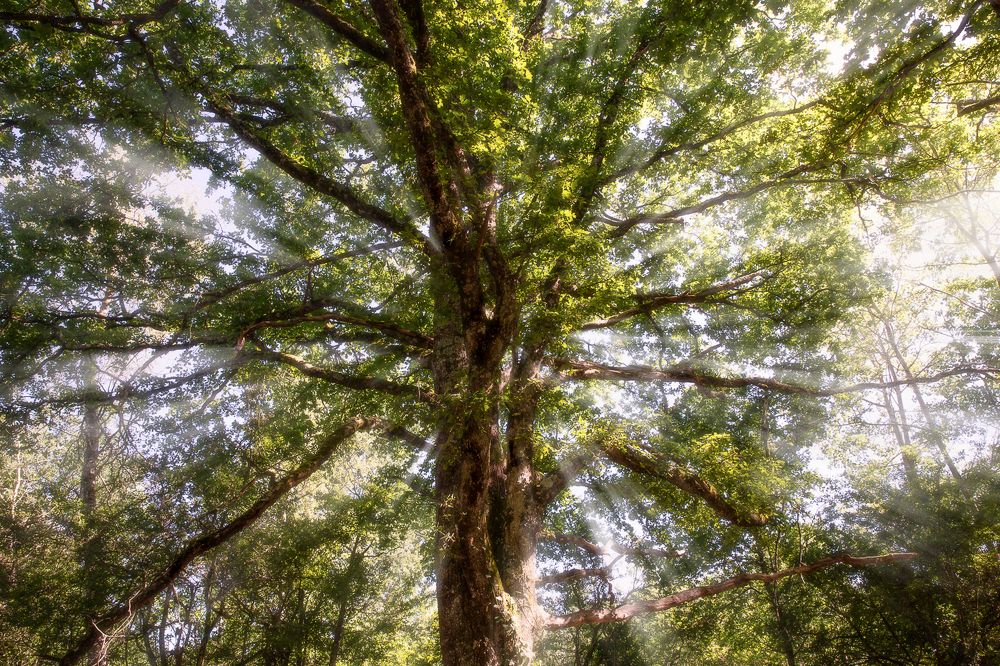 Photograph by Jeremy Peresse