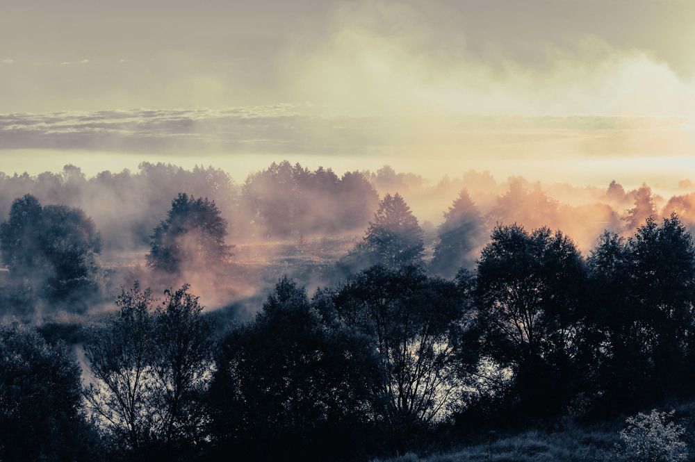 Туманный рассвет на реке