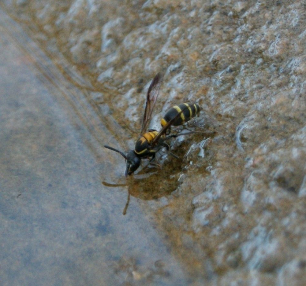 Photograph by Leonor Castellanos