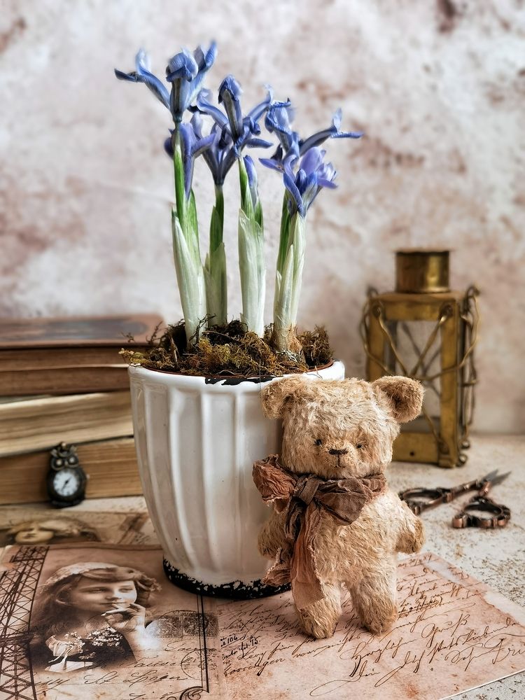 Photograph by Мария Тристень