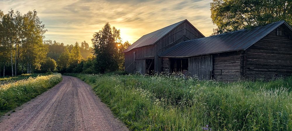 Country road on a summer morning
