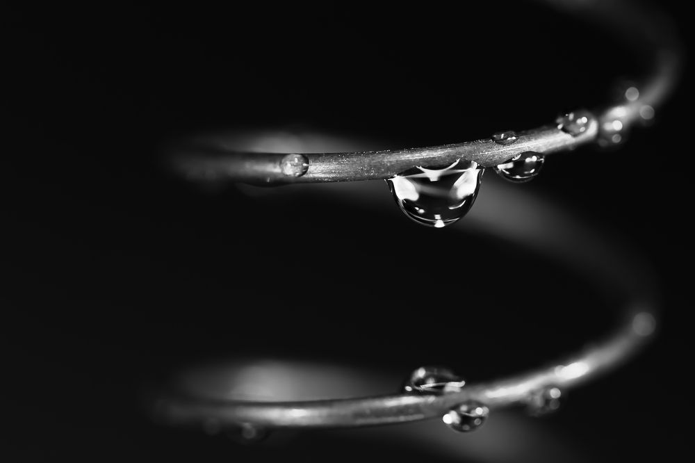 Photograph by Ирина Кротова