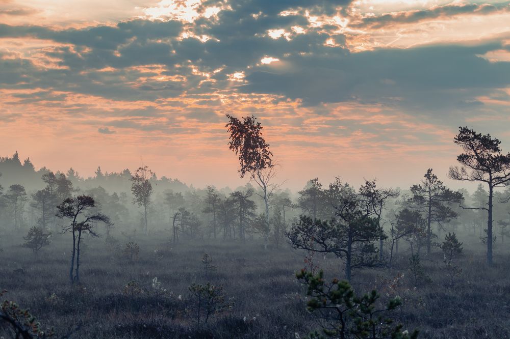 Photograph by Антон Парфентьев