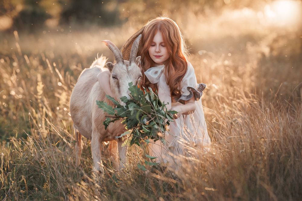 Фотография автора Katalin Palasti