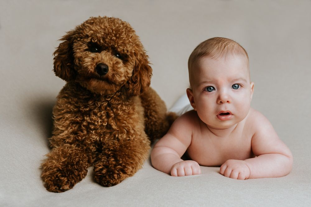 Photograph by Katalin Palasti