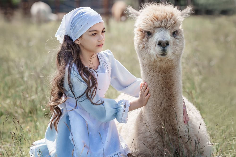 Photograph by Katalin Palasti