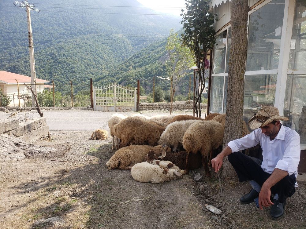 Photograph by shekarsari salimi hasan