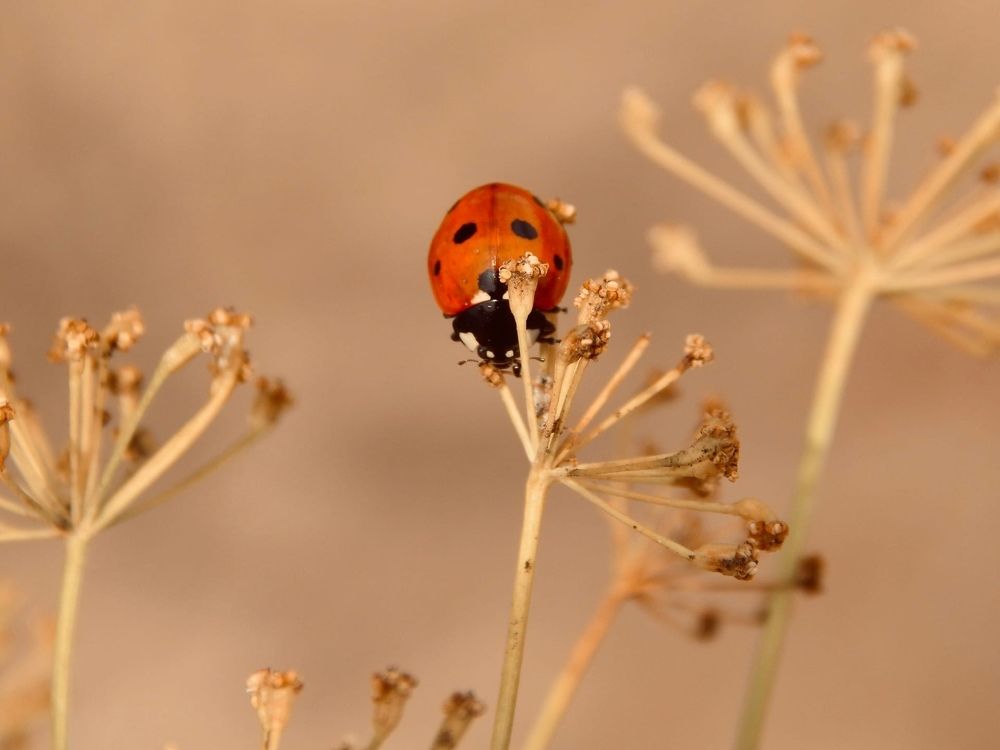 Photograph by Анастасия Моисеева