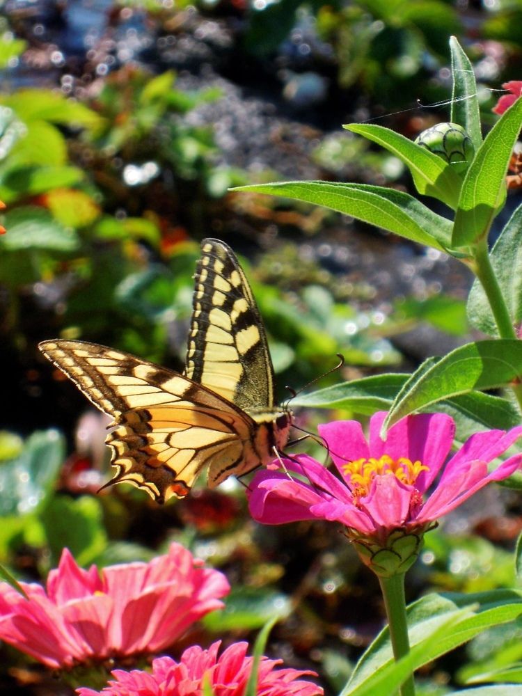 Photograph by Анастасия Моисеева