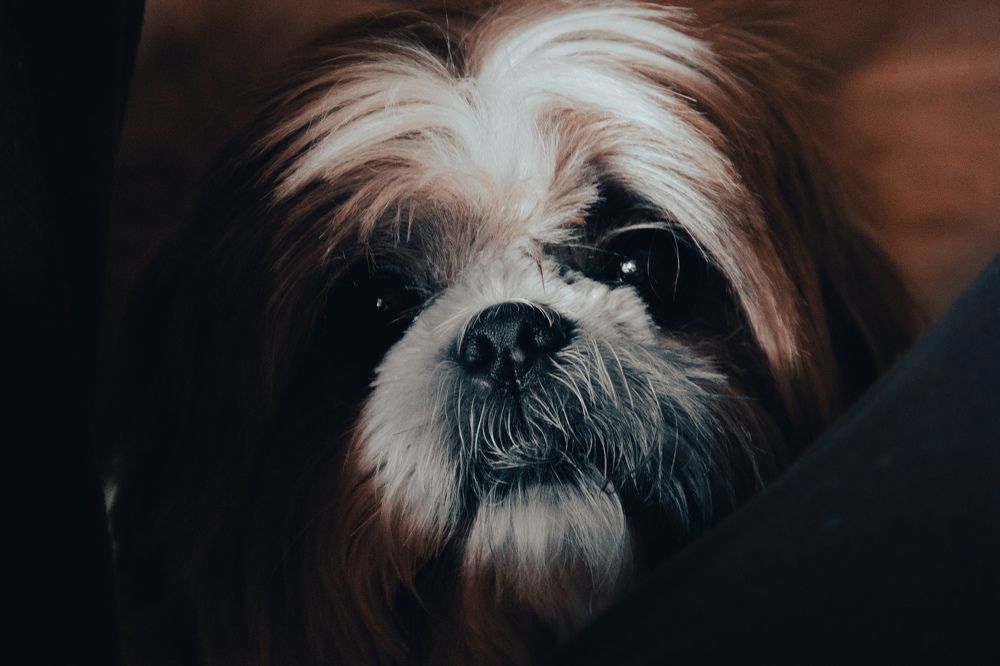 Photograph by Татьяна Петровская