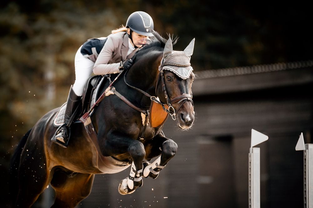 Photograph by Элеонора Владимировна