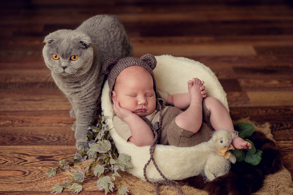 Photograph by Анастасия Воробьева
