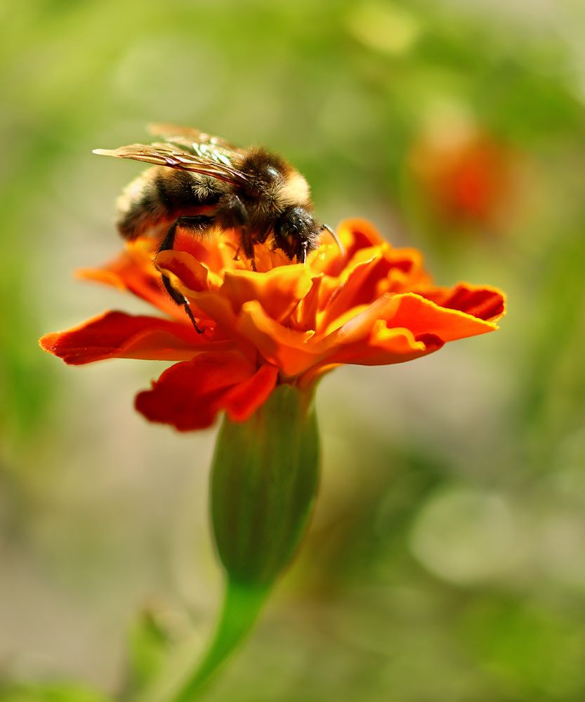 Photograph by Олег Фокин