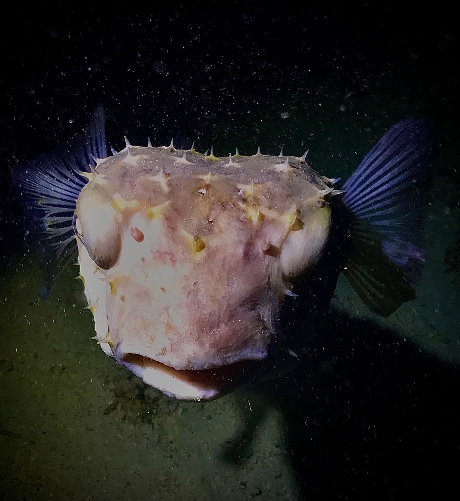 Face to face