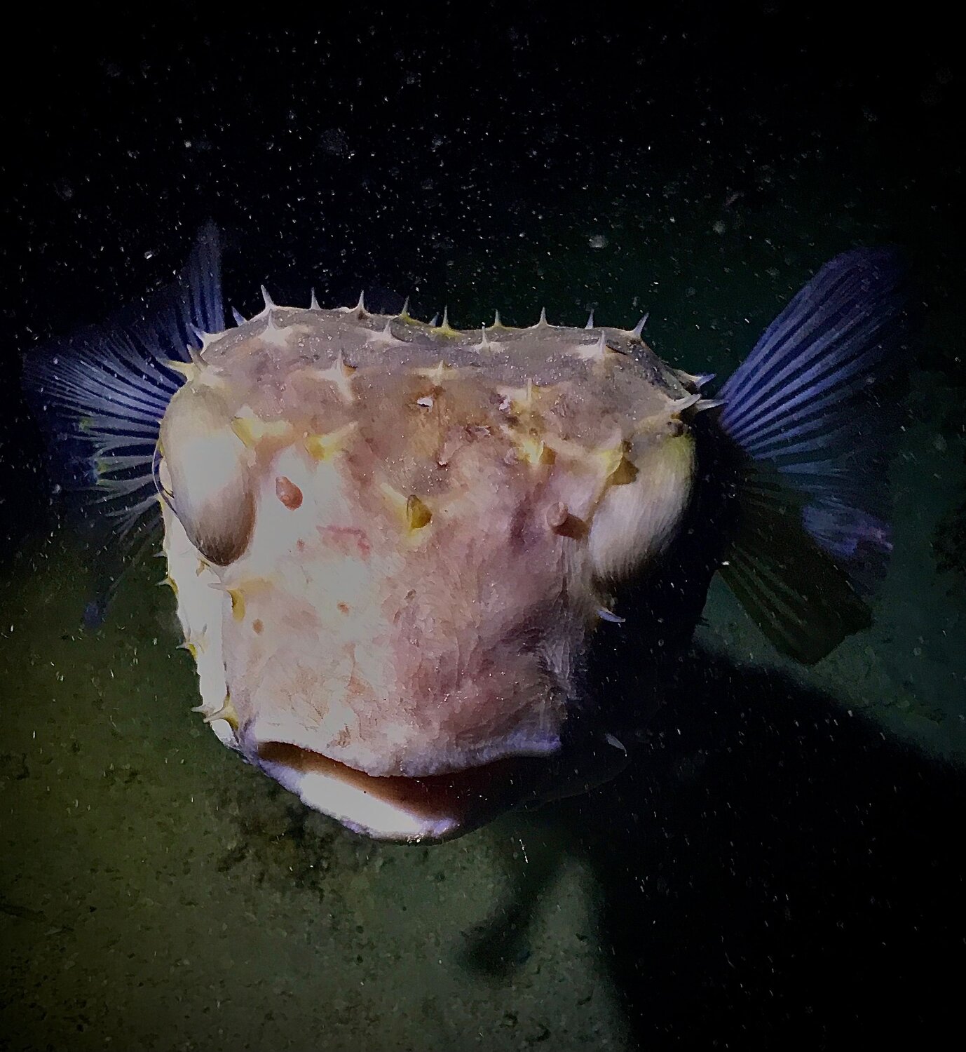 Face to face