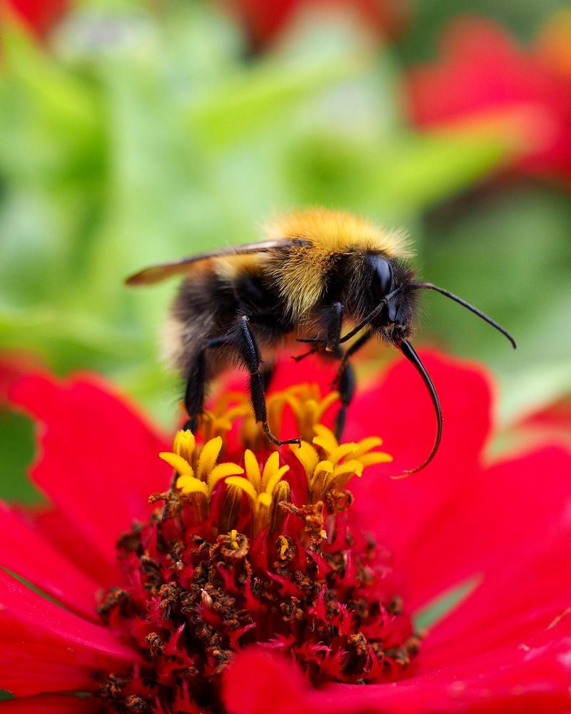 Photograph by Юлия Поршнева