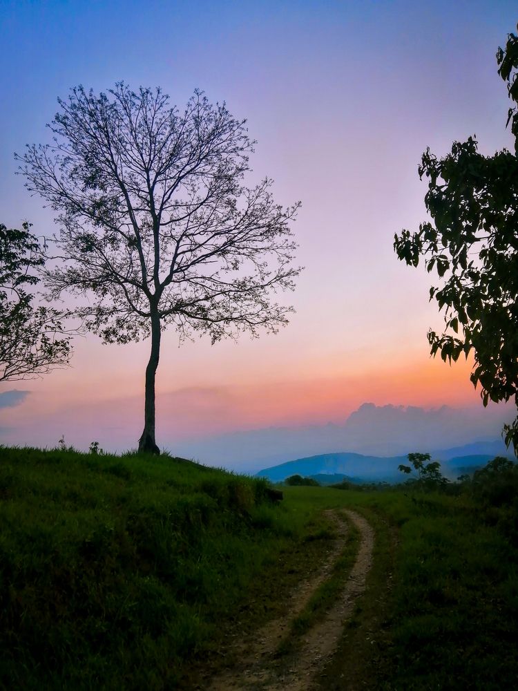 Photograph by Jhonatan Zavaleta Silupú