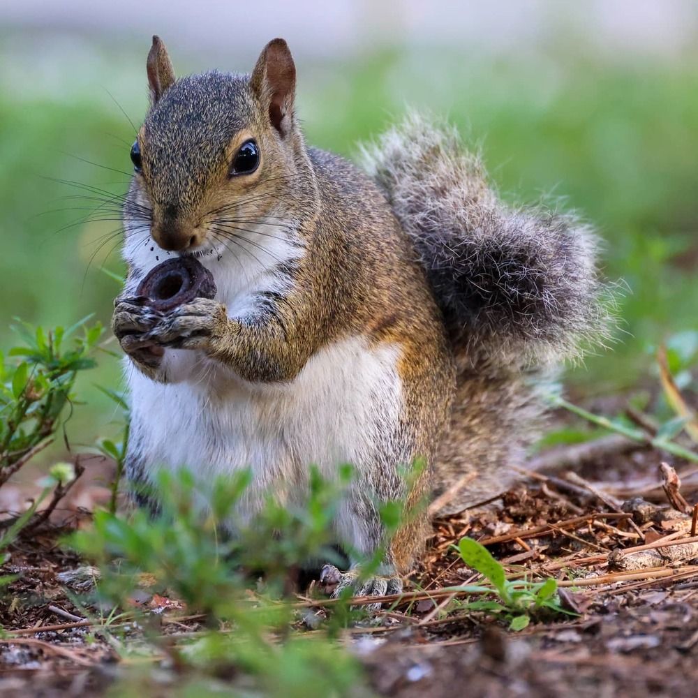 Photograph by Exneyder Pena