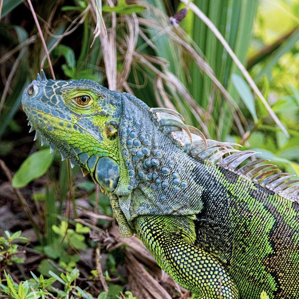 Photograph by Exneyder Pena