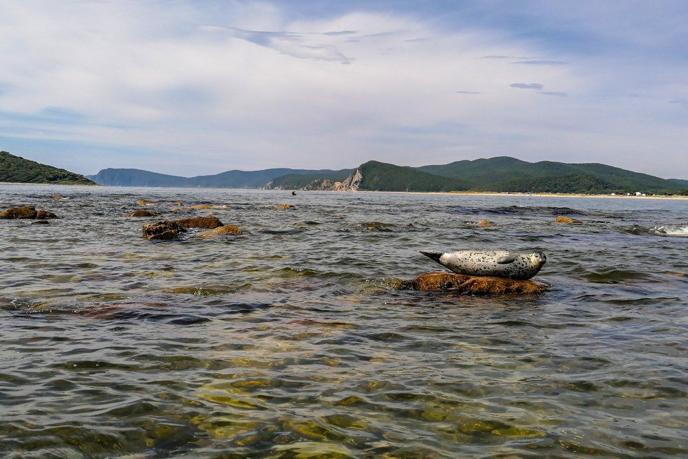 Ларга отдыхающая