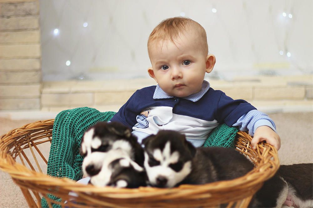 Photograph by YANA SHABANOVA