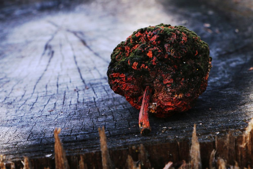 Photograph by Hayk Badalyan