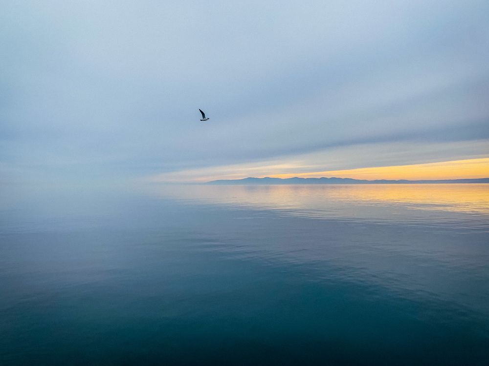 Полёт к свету