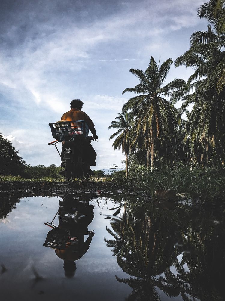 Photograph by Nithiyaprasad sinnathamby