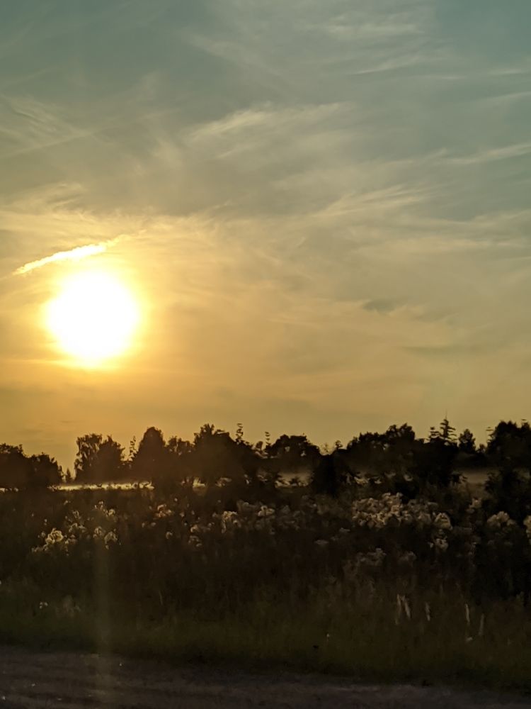 Sunset in the fog