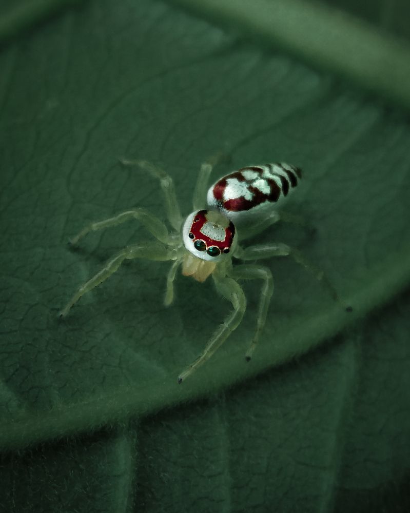 Фотография автора Jayesh Rajput