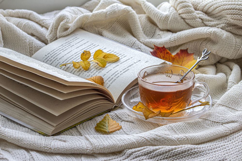 Photograph by Александра Шайдурова