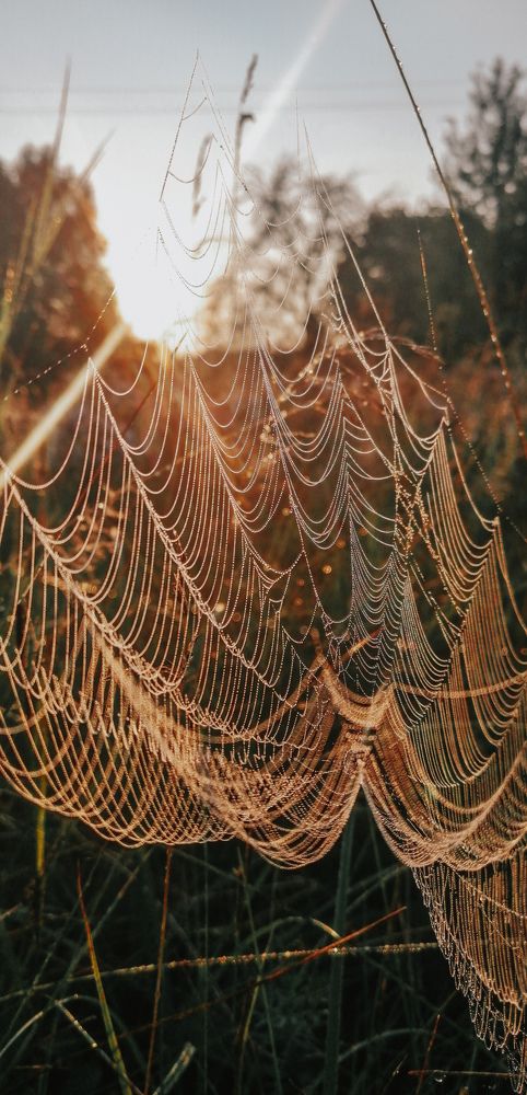 Photograph by Natalia