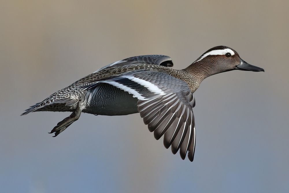 Photograph by Вячеслав Ладанов