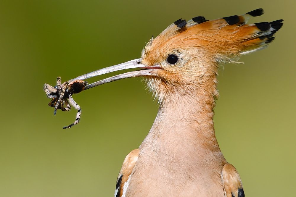 Photograph by Вячеслав Ладанов