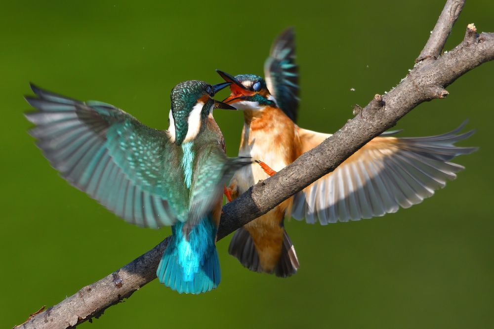 Photograph by Вячеслав Ладанов