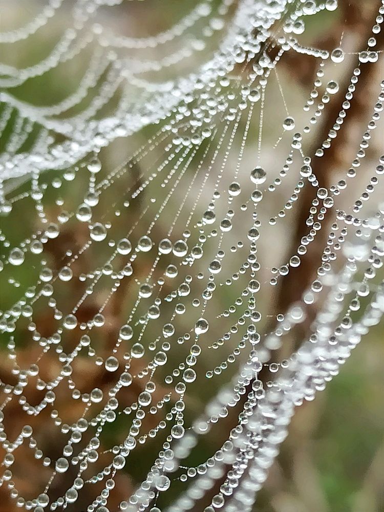 Фотография автора Татьяна Долгушева