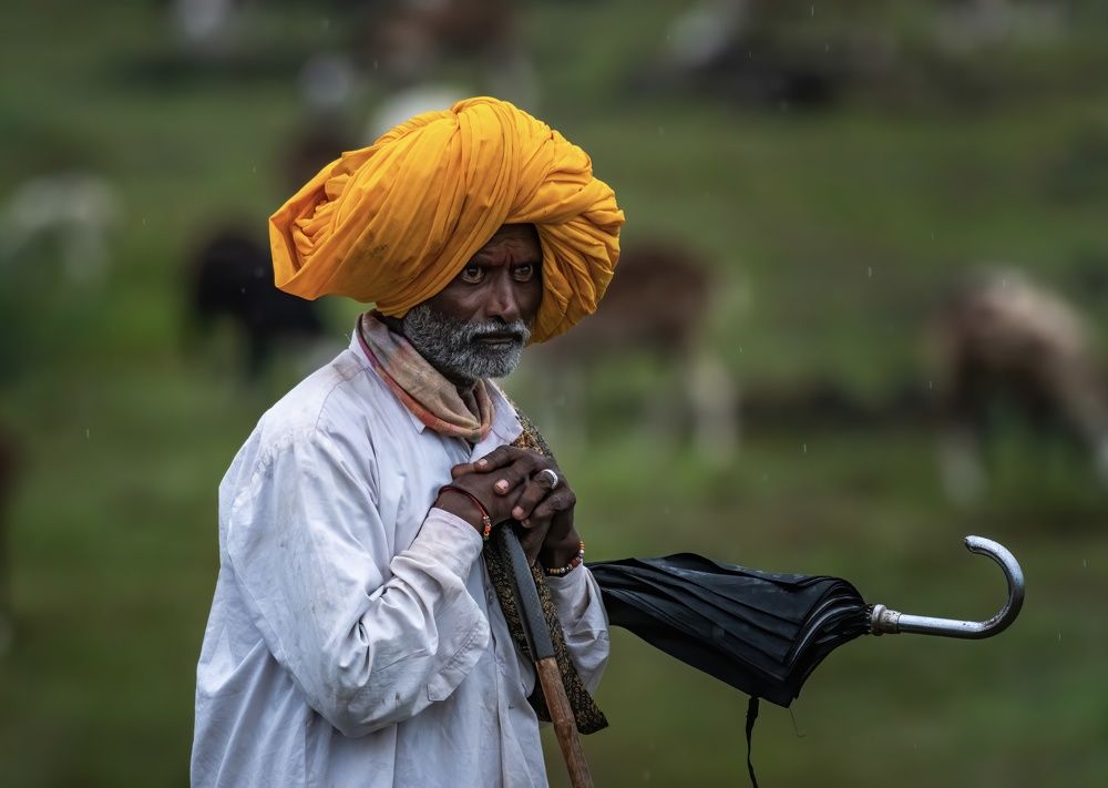 Photograph by sudhir yadav