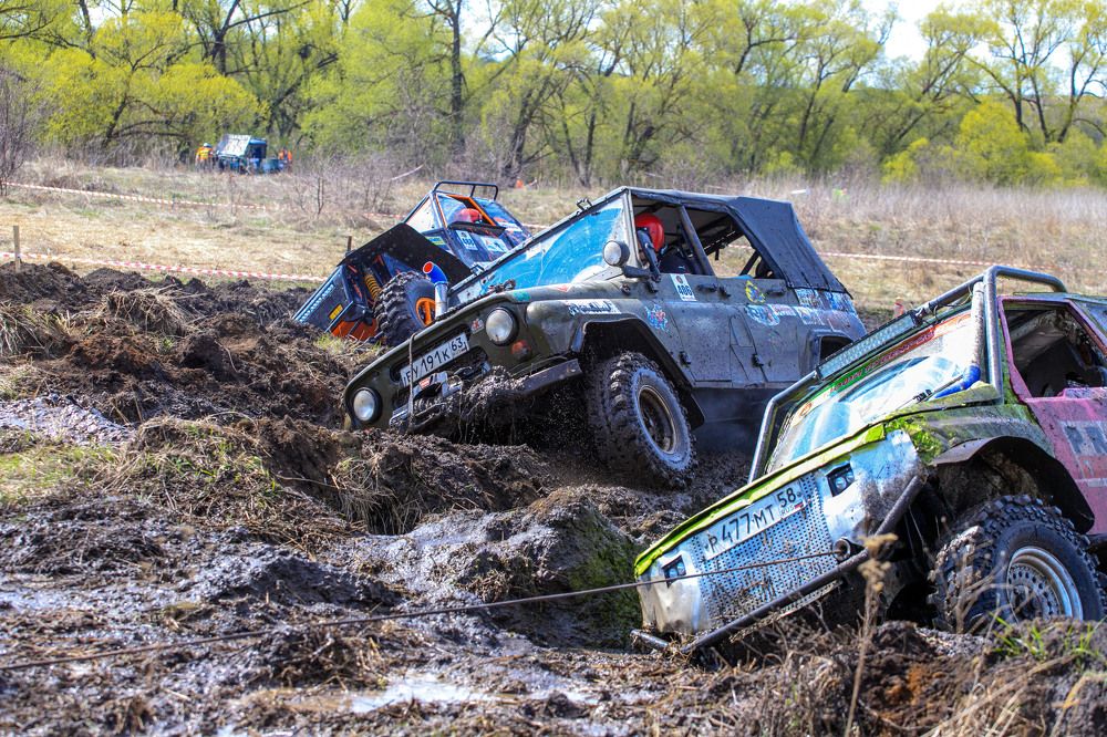 Photograph by Михаил Комраков