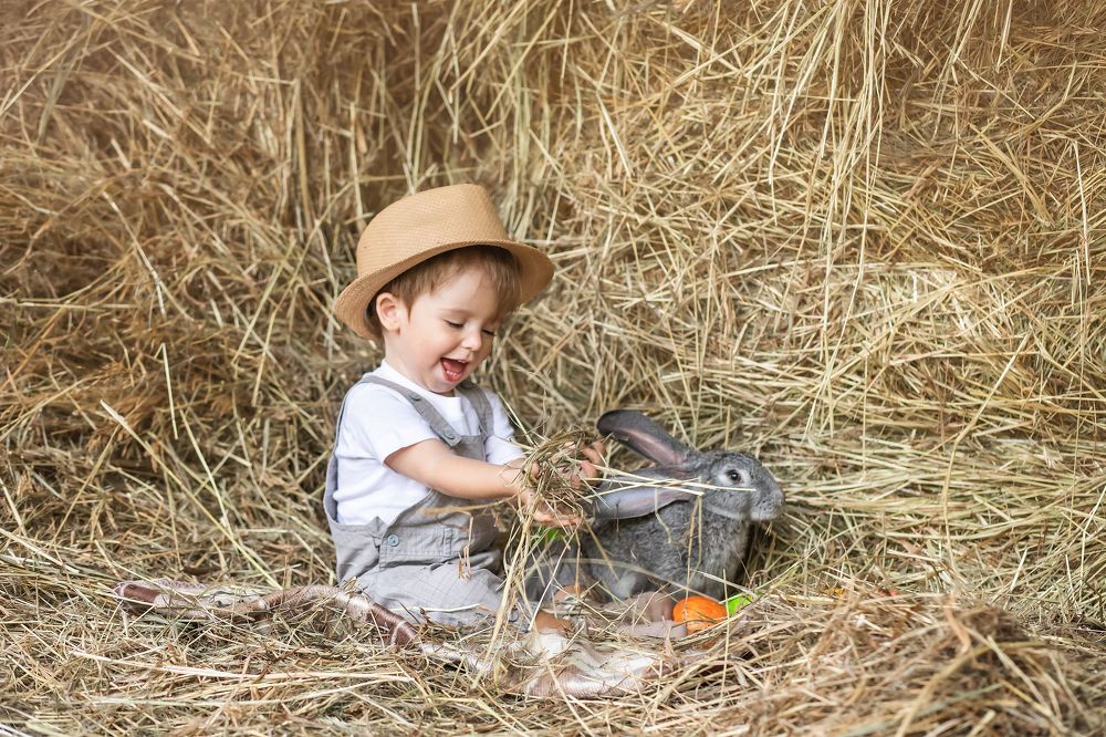 Photograph by Виктория Рябчунова