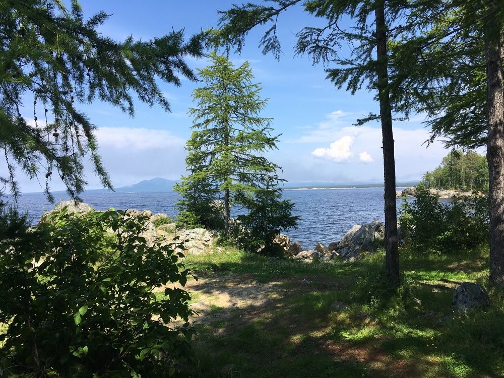 Photograph by юлия