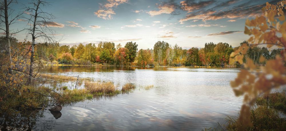 Photograph by Дмитрий Петровский