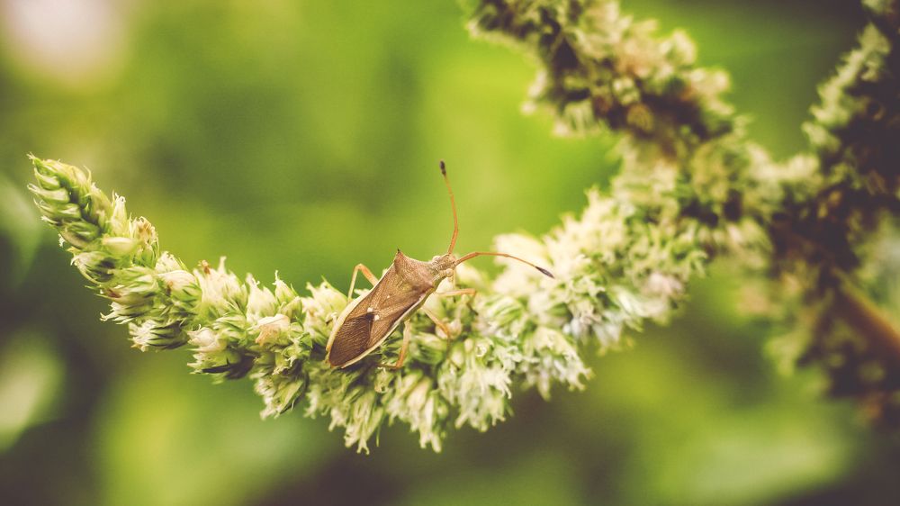 Photograph by NGUYEN MINH CHAU