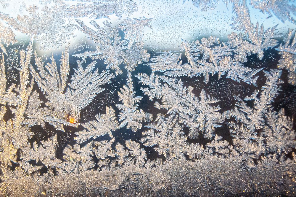 Photograph by Саша Литвин