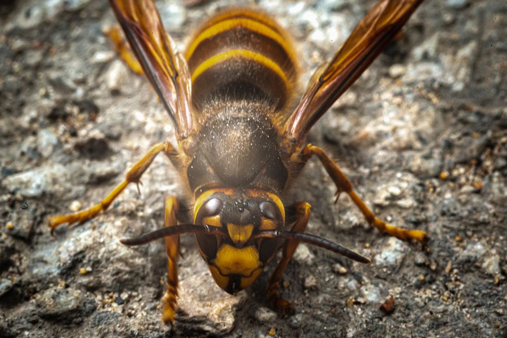 Photograph by Саша Литвин