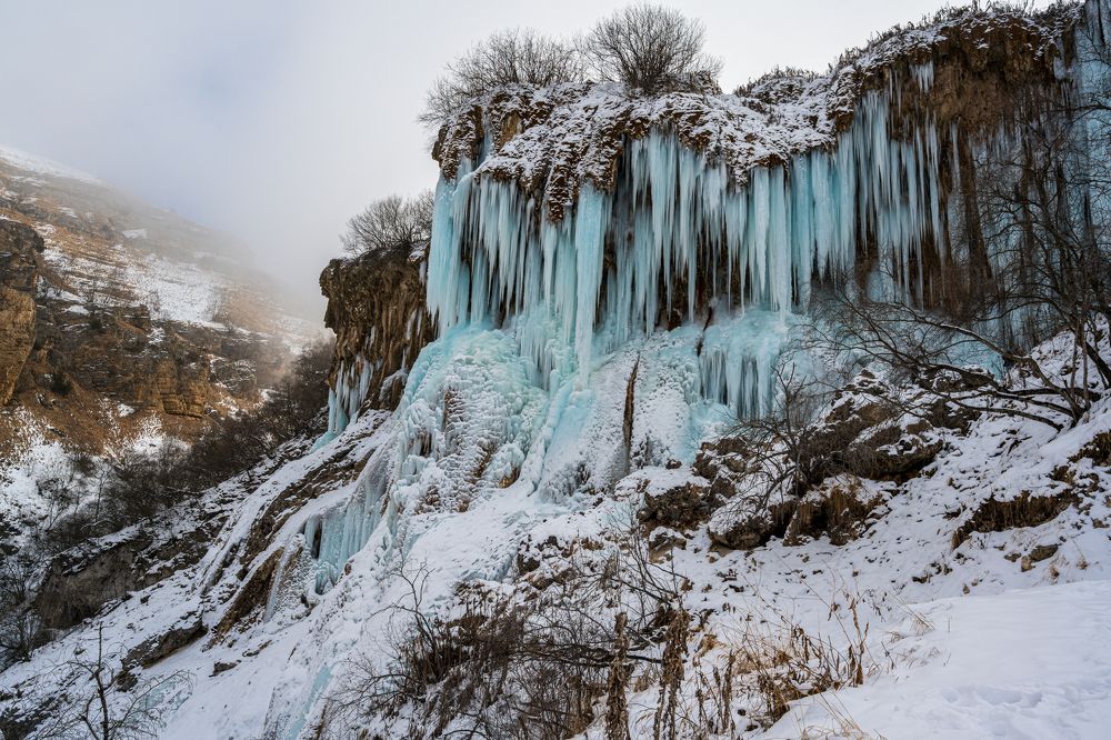 Photograph by Вараксин Николай
