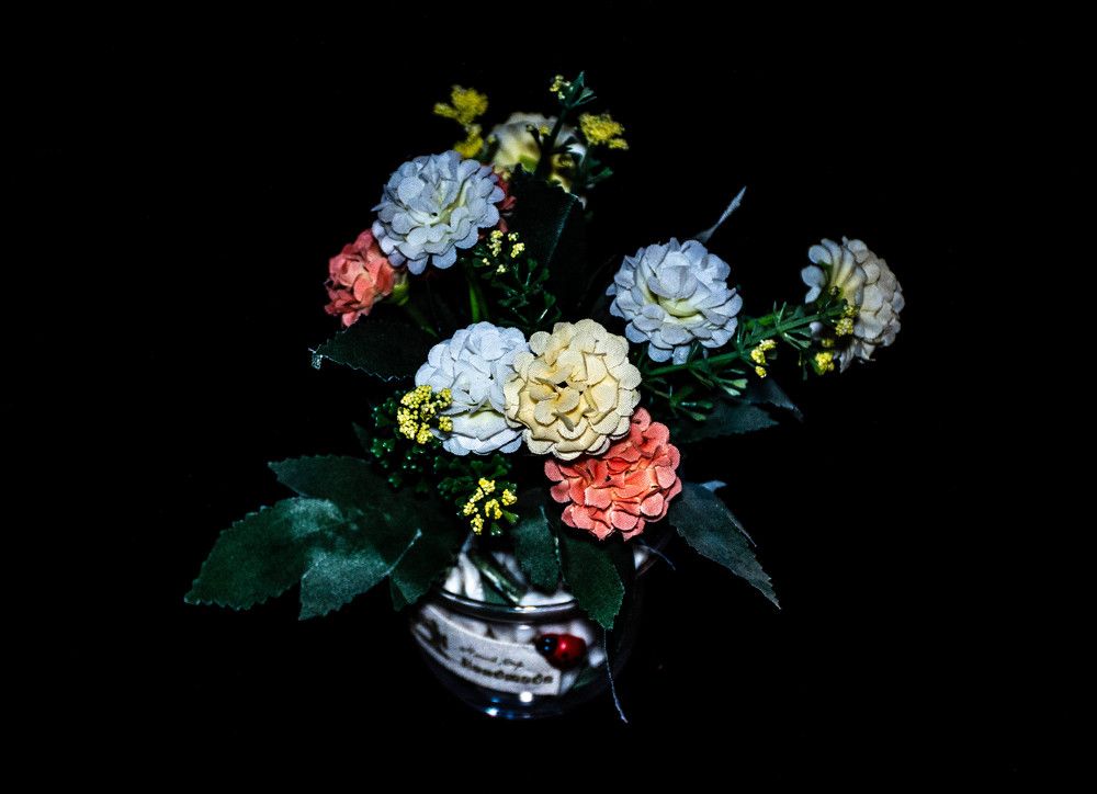 Photograph by islam elsayed eldaramlly