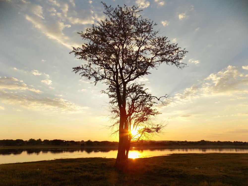 Photo #6510749